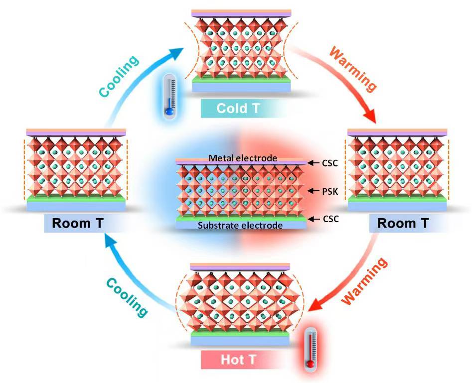 page.research.cards.1.alt